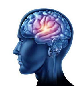 Fundamentals of pharmacology - brain stimulation